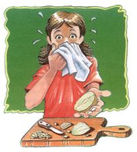 cortar cebolla