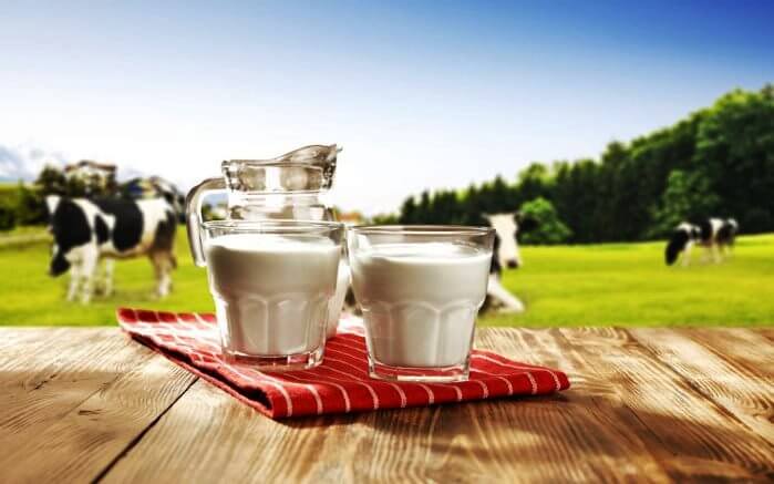 ¿Por qué es blanca la leche de vaca?