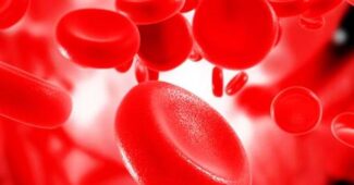 ¿Cuánta sangre tiene el cuerpo humano?