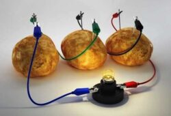 Alimentos conductores de electricidad: ¿Por qué algunas frutas y verduras conducen la electricidad?