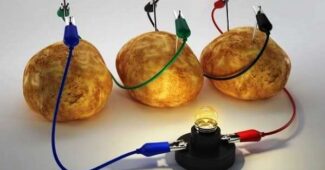 Alimentos conductores de electricidad: ¿Por qué algunas frutas y verduras conducen la electricidad?