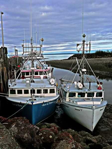 ¿Por qué sube y baja la marea? La fascinante danza entre la luna y el océano 4 Mareas altas y bajas de la Bahía de Fundy en Canadá