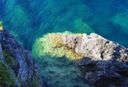 ¿Por qué el mar algunas veces se ve verde y otras veces azul?