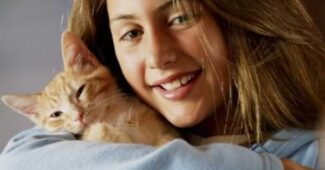 ¿Por qué hay gente a la que no le gustan los gatos?