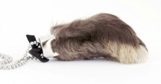 ¿Por qué se cree que una pata de conejo trae suerte?